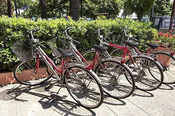 호텔 Corallo 미사노아드리아티코